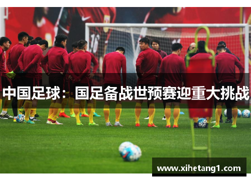 中国足球：国足备战世预赛迎重大挑战